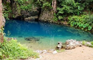 Phong Nha Jungle Trek And Cave Discovery